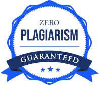 Zero Plagiarism Guarantee